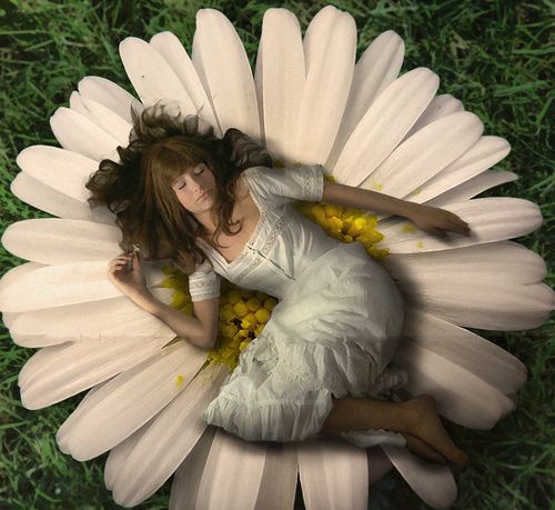 Arthouse Film Wednesdays