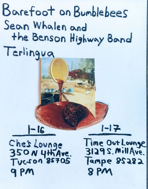 Barefoot on Bumblebees, Sean Whalend and the Benson Highway Band, Terlingua (L.A.)